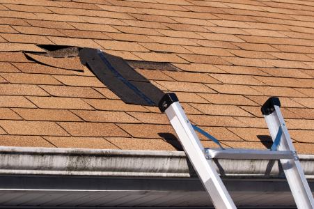 Roof repair by Sentry Construction